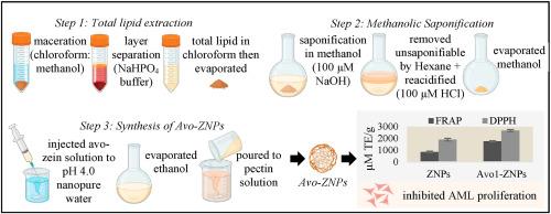 Avocado seed extract encapsulated in zein nanoparticles as a functional ingredient