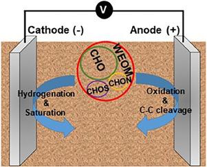 Transformation of sedimentary dissolved organic matter in electrokinetic remediation catalogued by FT-ICR mass spectrometry