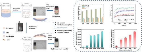 Fabrication of pea protein isolate-stabilized oil-in-water emulsions with high freeze-thaw stability: Effect of high intensity ultrasonic on emulsions and interfacial protein structure