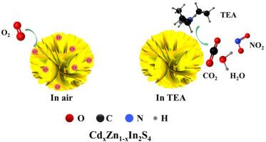 The synergistic effect of Cd-doped and S-vacancies in CdxZn1-xIn2S4 2D nanosheets for high-performance triethylamine sensing