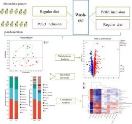 Alterations in captive Alexandrine parakeet (Palaeornis eupatria) gut microbiome and metabolome in response to dietary change