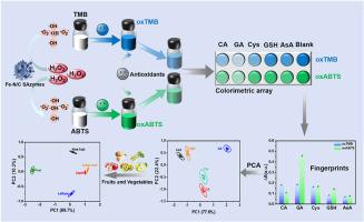 Colorimetric sensor array for identifying antioxidants based on pyrolysis-free synthesis of Fe–N/C single-atom nanozymes