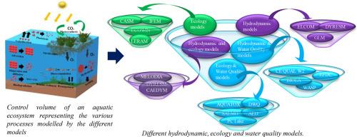 A review on hydrobiogeochemical modelling in freshwater wetlands: Insights into model characteristics and applicability