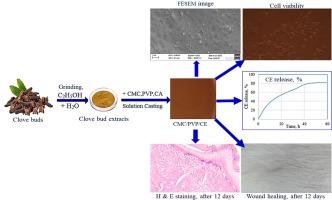 Carboxymethyl cellulose/polyvinylpyrrolidone bio-composite hydrogels enriched with clove bud extracts for enhanced wound healing