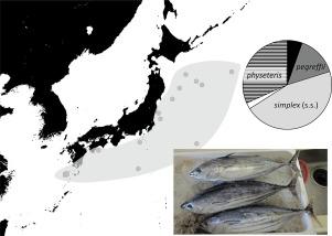 Anisakid larvae in the skipjack tuna Katsuwonus pelamis captured in Japanese waters: Two-year monitoring of infection levels after the outbreak of human anisakiasis in 2018