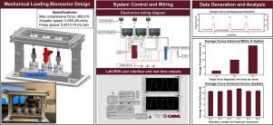 Design and construction of a low-cost compressive loading and perfusion flow bioreactor