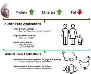 The potential of snails as a source of food and feed