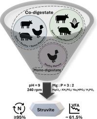 Sustainable nutrient recovery through struvite precipitation from poultry and multi-substrate agricultural waste digestates