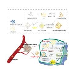 pH-responsive berberine release from metal-organic framework based nanocarriers by regulating oxidative stress for targeted therapy of oral squamous cell carcinoma