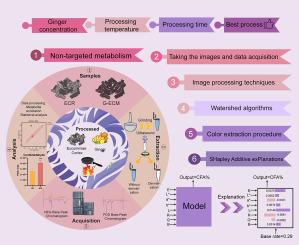 Non-targeted metabolomics and explainable artificial intelligence: Effects of processing and color on coniferyl aldehyde levels in Eucommiae cortex