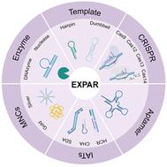 EXPAR for biosensing: recent developments and applications