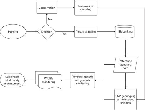 Use or abuse of trophy hunting for conservation genomics?