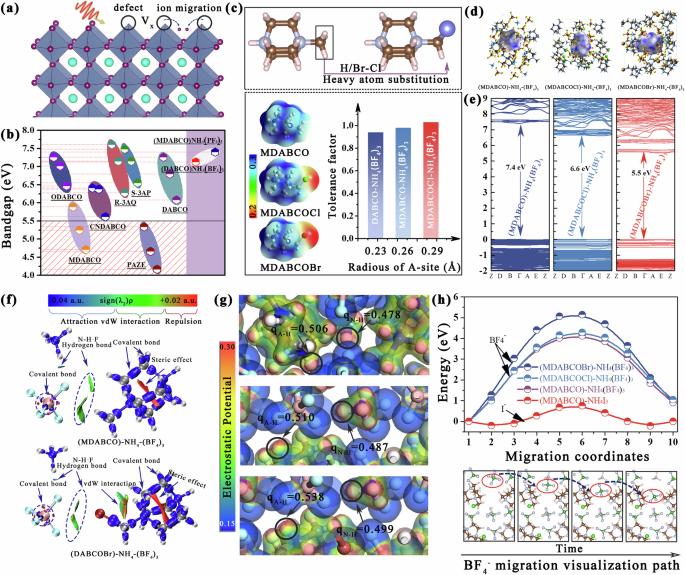 Tailored molecular for ultra-stability and biocompatible pseudohalide metal-free perovskite towards X-ray detectors with record sensitivity