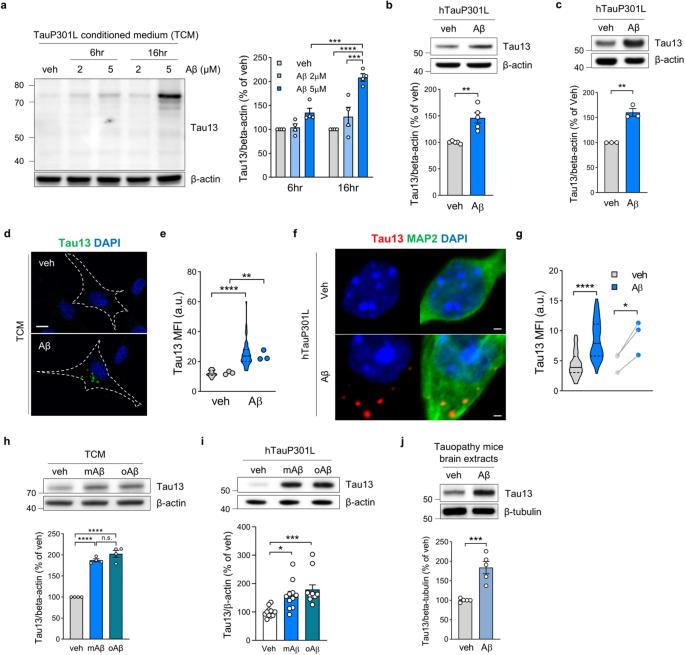 FGFR3 drives Aβ-induced tau uptake