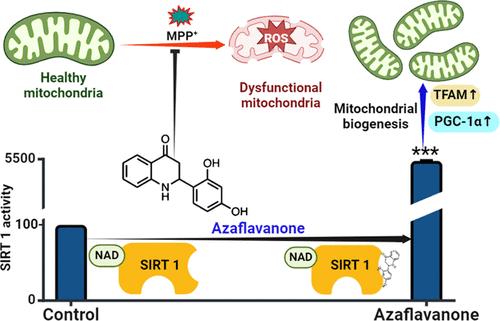 Allosteric Activation of SIRT1 by 2,4-Dihydroxy-azaflavanone Averts MPP+-Mediated Dysfunction in Mitochondrial Biogenesis and Bioenergetics: Implications for Parkinson’s Disease