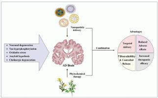 Revolutionizing neurotherapeutics: Nanocarriers unveiling the potential of phytochemicals in Alzheimer's disease