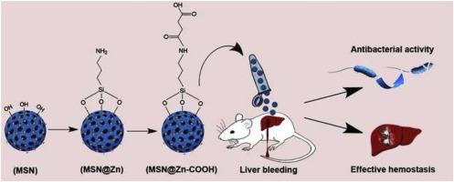 Surface-modified, zinc-incorporated mesoporous silica nanoparticles with improved antibacterial and rapid hemostatic properties