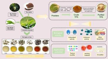 Extraction methods, chemical compositions, molecular structure, health functions, and potential applications of tea polysaccharides as a promising biomaterial: a review