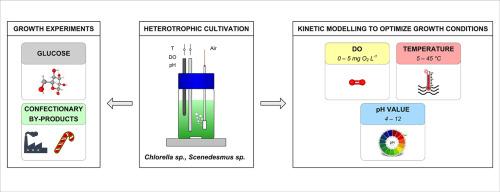 Enhancing the environmental and economic sustainability of heterotrophic microalgae cultivation: Kinetic modelling and screening of alternative carbon sources