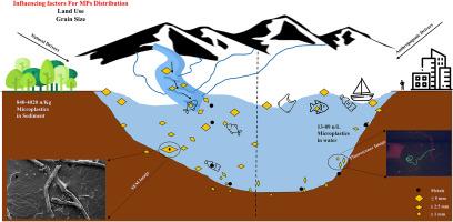 Co-occurrence of microplastics and heavy metals in a freshwater lake system in Indian Himalaya: Distribution and influencing factors