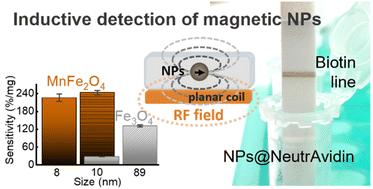 Mn-ferrite nanoparticles as promising magnetic tags for radiofrequency inductive detection and quantification in lateral flow assays†