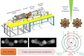 Coalescence behavior of size-selected gold and tantalum nanoclusters under electron beam irradiation: insights into nano-welding mechanisms