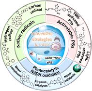 Recent advances for enhanced photodynamic therapy: from new mechanisms to innovative strategies