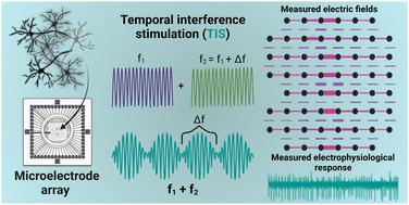 Electric field temporal interference stimulation of neurons in vitro†