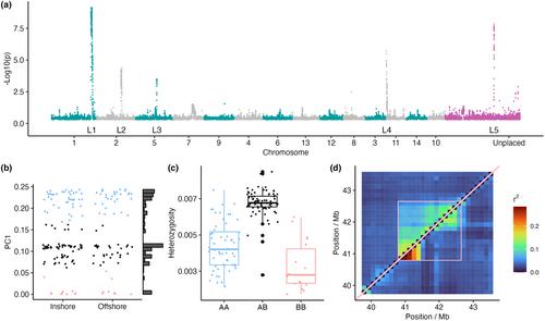 Chromosomal inversions harbour excess mutational load in the coral, Acropora kenti, on the Great Barrier Reef