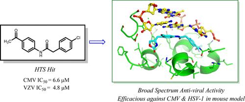Discovery of Broad-Spectrum Herpes Antiviral Oxazolidinone Amide Derivatives and Their Structure–Activity Relationships