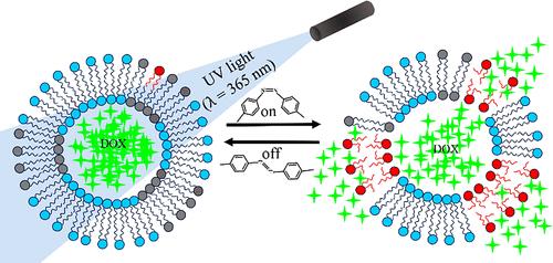 Investigating the Influence of Photoswitchable Lipids on the Structure and Dynamics of Lipid Membranes: Fundamentals and Potential Applications