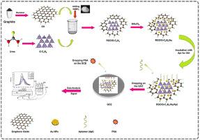 Ultrasensitive aptamer-based electrochemical nanobiosensor in diagnosis of prostate cancer using 2D:2D reduced graphene oxide/graphitic carbon nitride decorated with Au nanoparticles