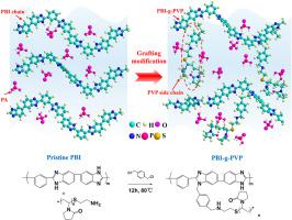 Improving the performance and long-term durability of high-temperature PEMFCs: A polyvinylpyrrolidone grafting modification strategy of polybenzimidazole membrane