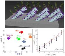 Ultra-sensitive detection of PFASs using surface enhanced Raman scattering and machine learning: a promising approach for environmental analysis†