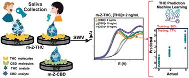 Ultra-low dual detection of tetrahydrocannabinol and cannabidiol in saliva based on electrochemical sensing and machine learning: overcoming cross-interferences and saliva-to-saliva variations†