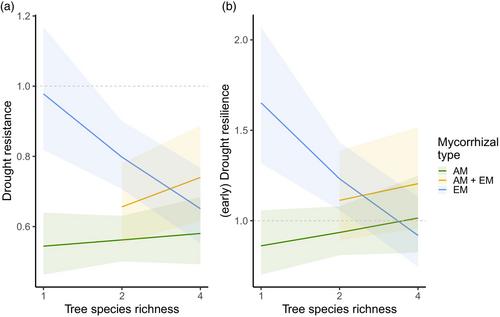 Forest growth resistance and resilience to the 2018–2020 drought depend on tree diversity and mycorrhizal type