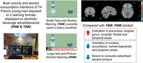 Impact of text-only versus large text-and-picture alcohol warning formats: A functional magnetic resonance imaging study in French young male drinkers