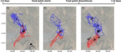 Testing the information centre hypothesis in a multilevel society