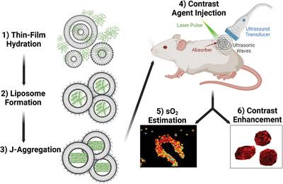 A Facile Approach to Producing Liposomal J-Aggregates of Indocyanine Green with Diagnostic and Therapeutic Potential