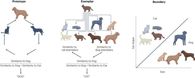 Single and multiple systems in categorization and category learning