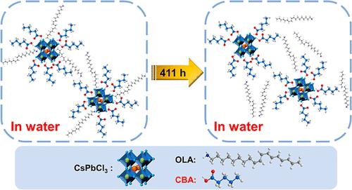 4-Chlorrate Assisted in Situ Passivation of CsPbCl3 Perovskite Quantum Dots with High Water Stability for Light-Emitting Diode