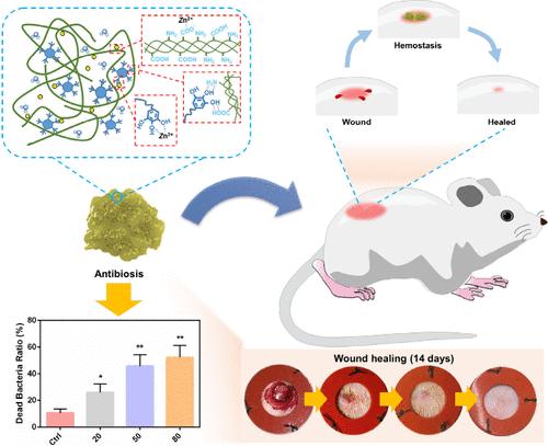 Metal–Polyphenol–Collagen Self-Assembled Bioadhesive with Immune Regulation for Infected Wound Healing