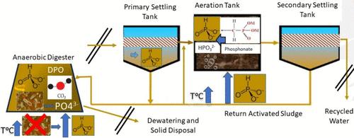 Occurrence and Source of Phosphite (HPO32–) during Municipal Wastewater Treatments