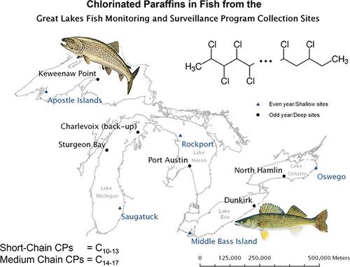 Trends of Short- and Medium-Chain Chlorinated Paraffin Concentrations in Top Predator Fish Tissues from The Great Lakes