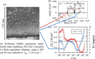 Relationship between bubble generation behavior and hydrogen evolution reaction performance at high current densities during alkaline water electrolysis