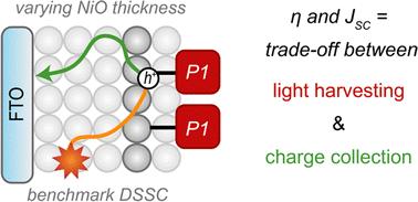 Slow hole diffusion limits the efficiency of p-type dye-sensitized solar cells based on the P1 dye†