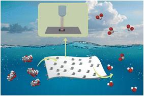 Degradation and detection of tetracycline by a bifunctional Bi4Ti3O12/Ag heterojunction under light and piezoelectric effect†