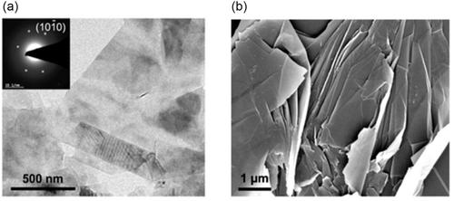 Multifunctional MXene Nanosheets and Their Applications in Antibacterial Therapy