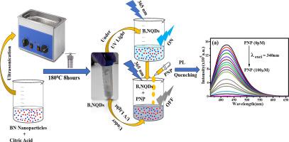 Sensing of p-nitrophenol using highly selective and sensitive Boran, Nitrogen doped quantum dots