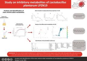 Analysis and identification of the main antimicrobial metabolites of Lactobacillus plantarum LPZN19